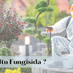 Apa Itu Fungisida ?